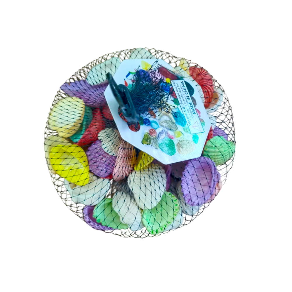 decorative-colourful-shell-art-craft-decor