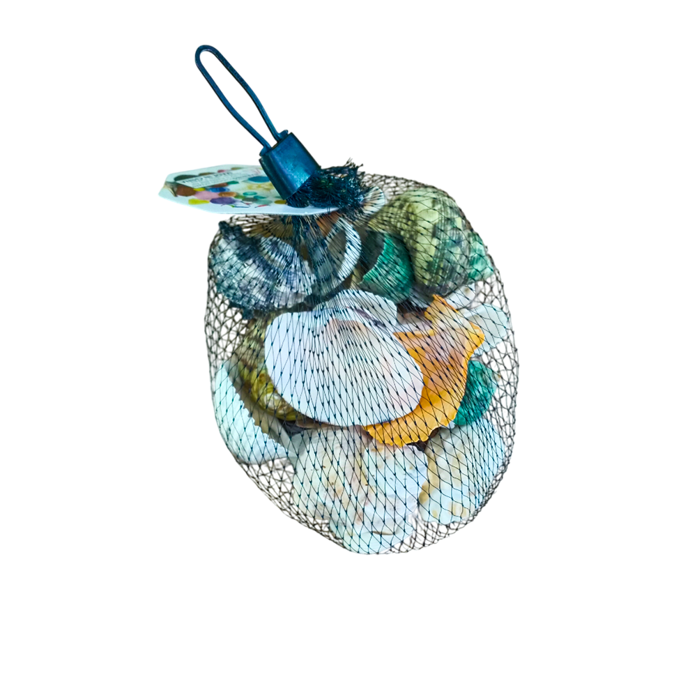 decorative-shell-natural-craft-home