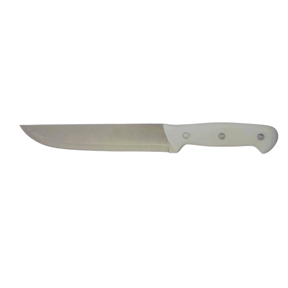 FRUIT KNIFE PLASTIC HANDLE