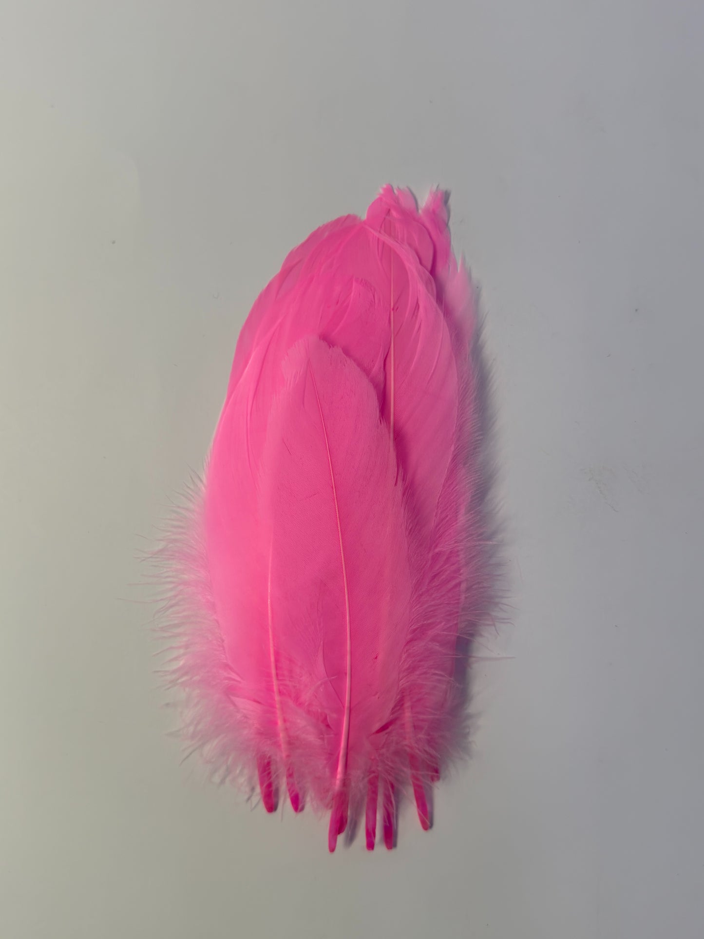buy-pd-90-craft-feathers-10-pcs
