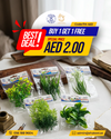 Assorted Artificial Greenery Craft Pack - Buy 1 Get 1 Free