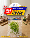 Artificial Green Decorative Plant - Buy 1 Get 1 Free