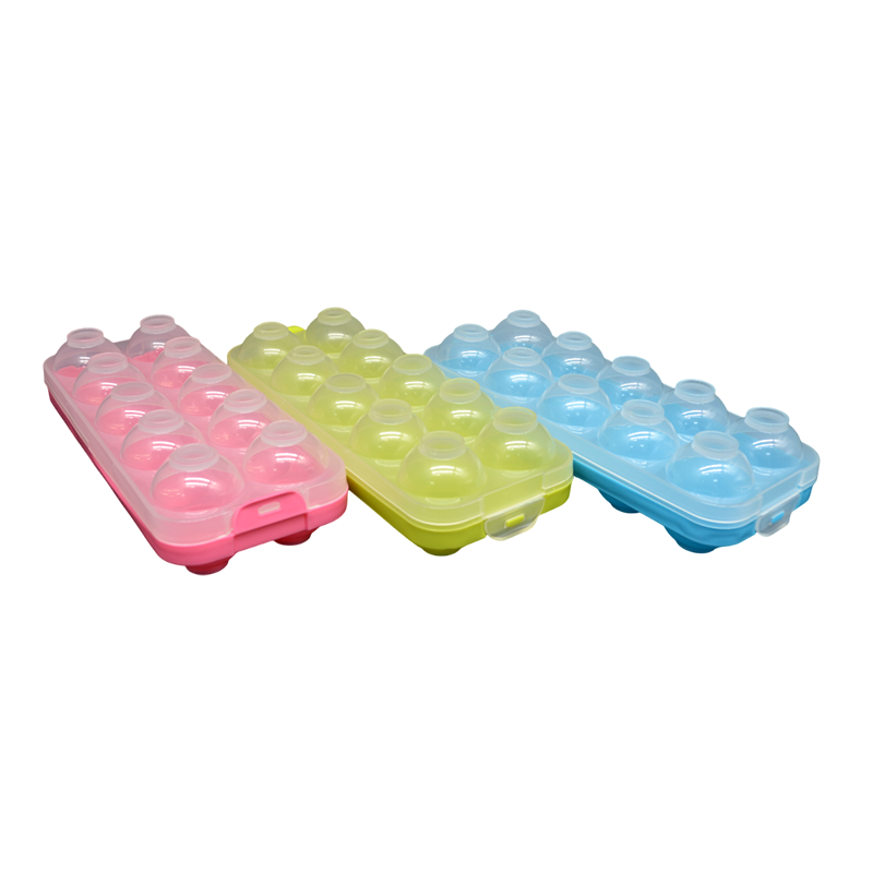 Plastic Egg Preservation Box 10-Way in Dubai & Sharjah – Shakeel Ahmed ...