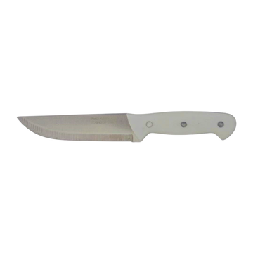 FRUIT KNIFE PLASTIC HANDLE