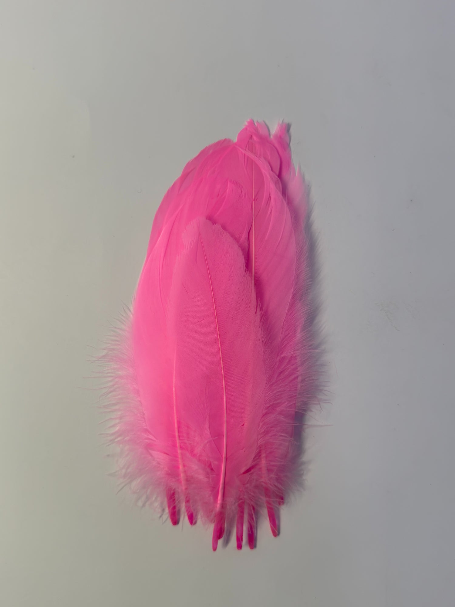 FEATHERS