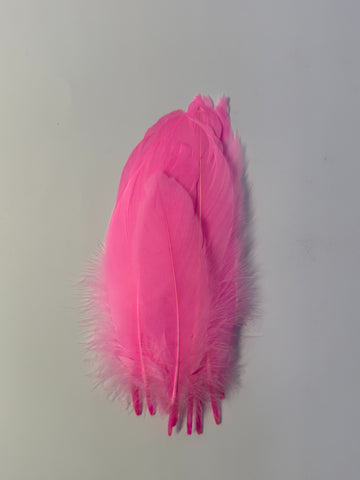 buy-pd-90-craft-feathers-10-pcs