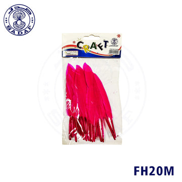 feather-20pcs-card-pd-52-54