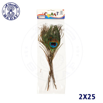 sadaf-art-craft-peafowl-feather-2pcs-pkt-pd-86